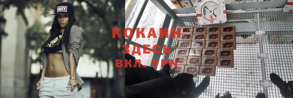 сатива Россошь