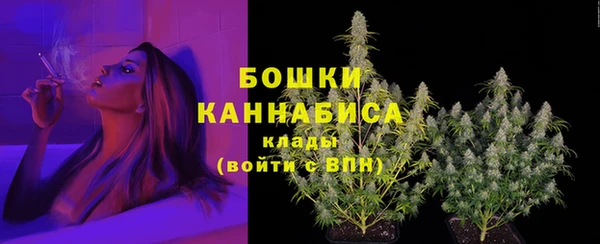 мдпв Рославль