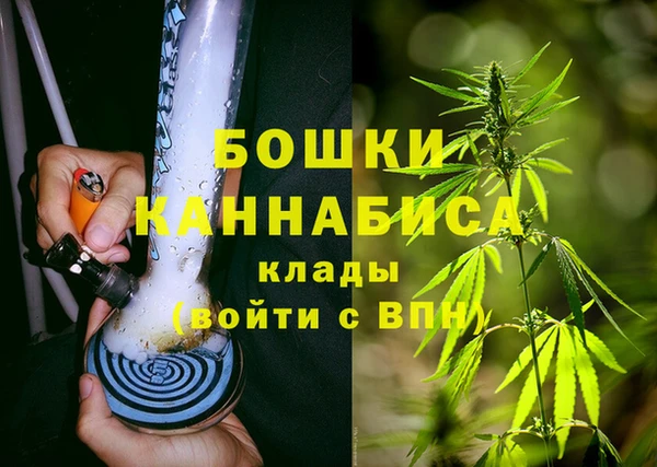 мдпв Рославль