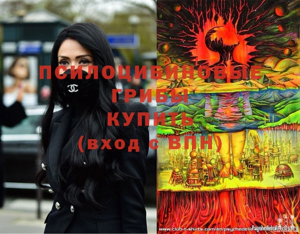 гидра Пролетарск