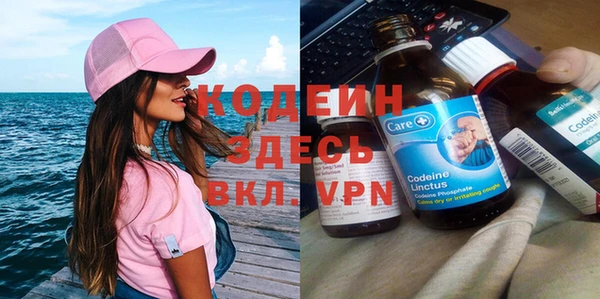 сатива Россошь