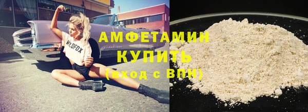 мдпв Рославль