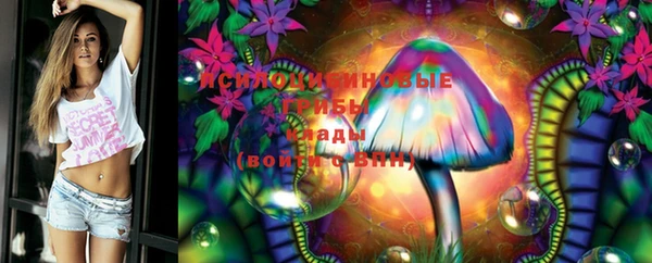 MDMA Грязовец
