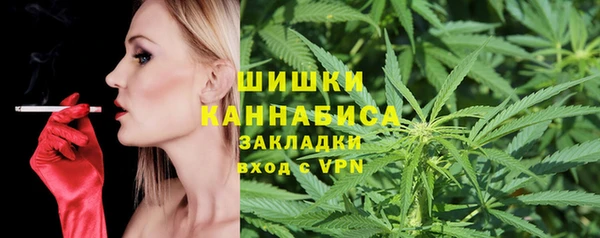 мдпв Рославль